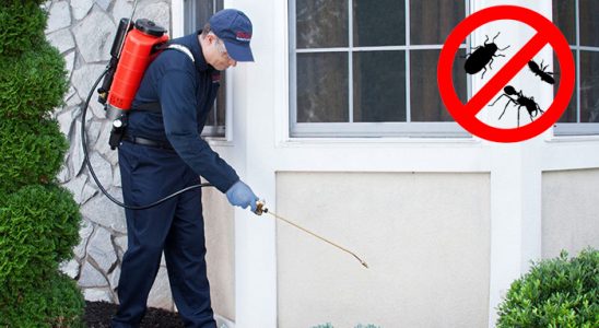 Payamlı Fare İlaçlama böcek ilaçlama ve haşere kontrolü — ilaclama-tr.com